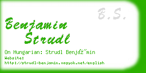 benjamin strudl business card
